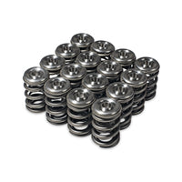Skunk2 Racing Skunk2 Alpha Series Honda/Acura H Series Valve Spring and Titanium Retainer Kit