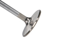 Manley Performance Manley Big Block Chevy Stock 3/8in Stem Diameter Severe Duty Intake Valves (Set of 8)