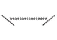 Ford Racing Ford GT and Mustang SVT 5.4L Lash Adjusters