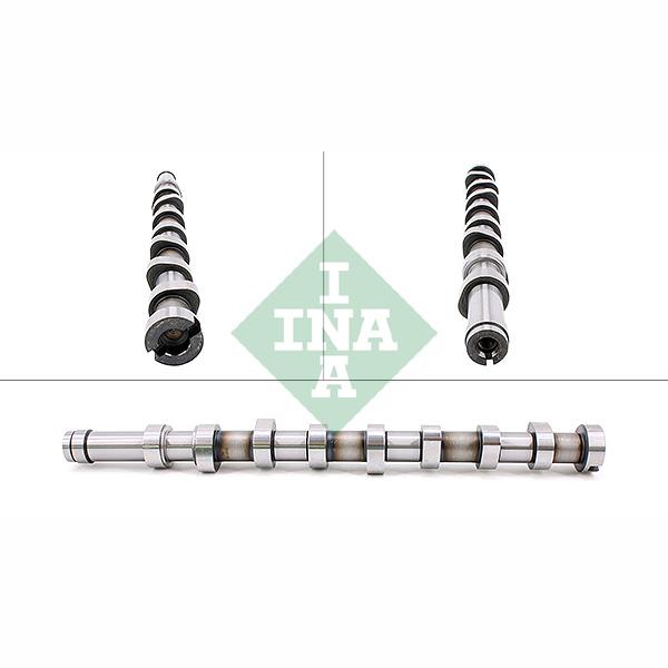 INA 428018310 Camshaft