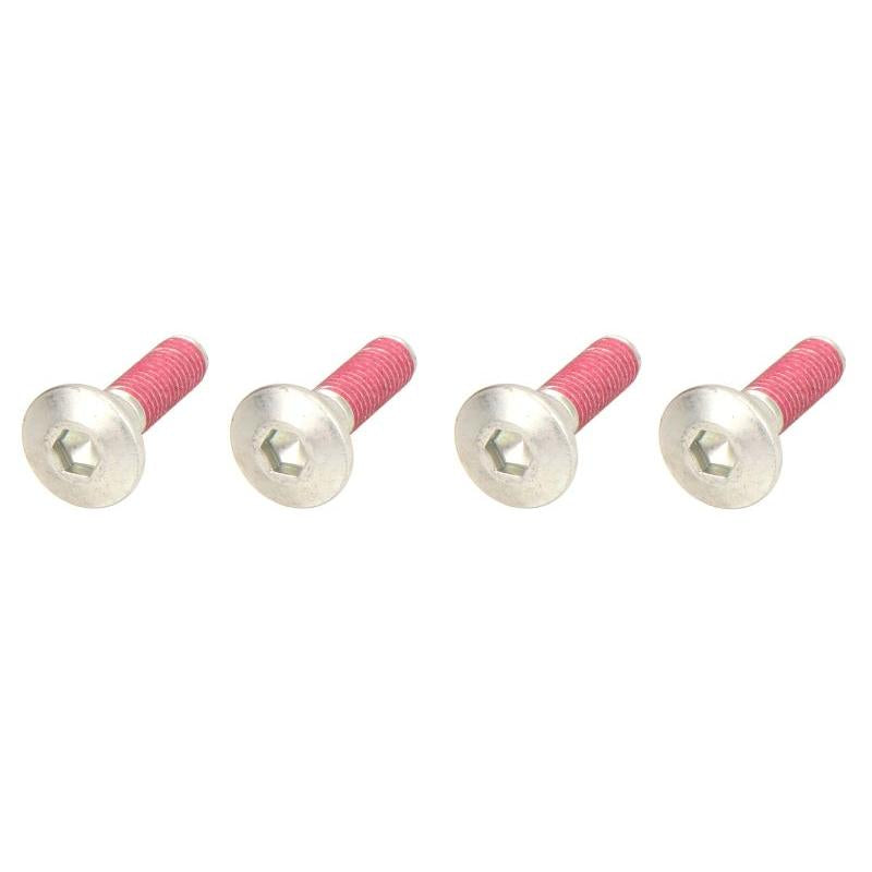 TRW MOTO MSS122-4 Brake Disc Bolt