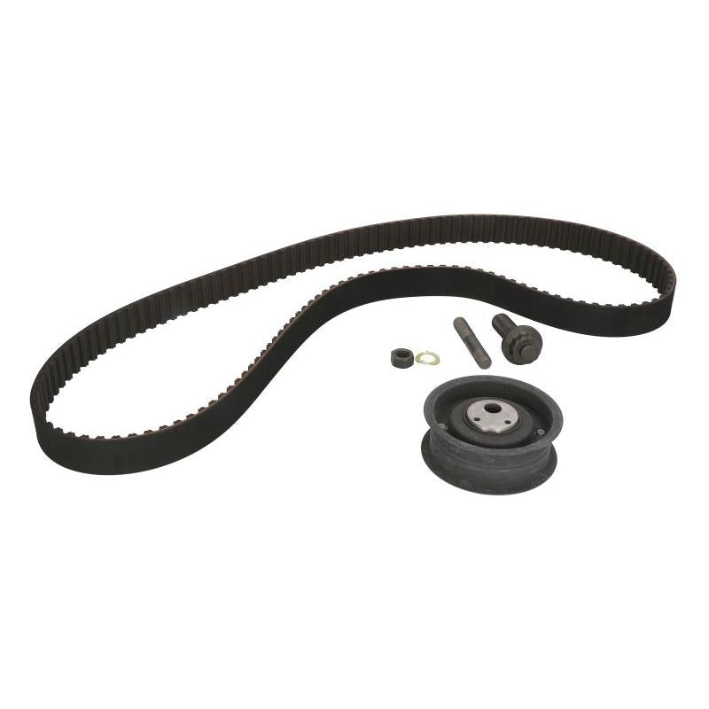 INA 530000210 Timing Belt Set