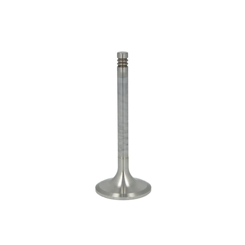 TRW 27119 Intake Valve