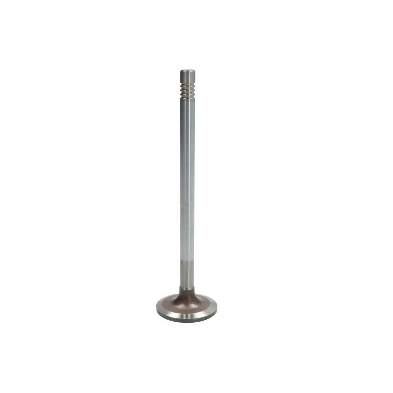 TRW 105-35667 Intake Valve