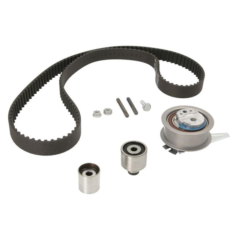 INA 530065010 Timing Belt Set