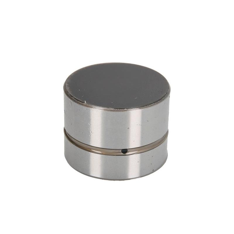 INA 420002210 Tappet