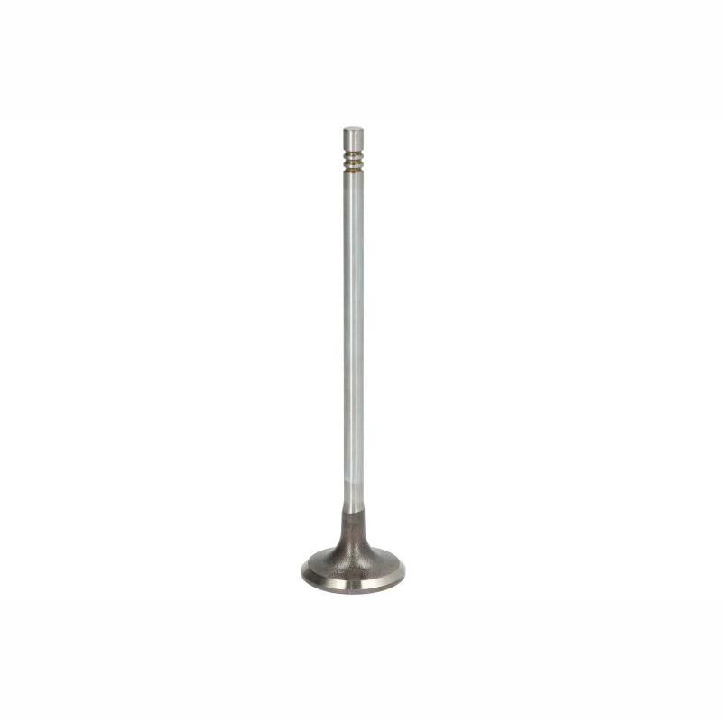 TRW 171124 Intake Valve