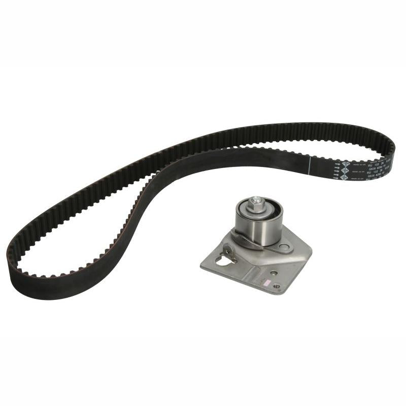 INA 530044210 Timing Belt Set