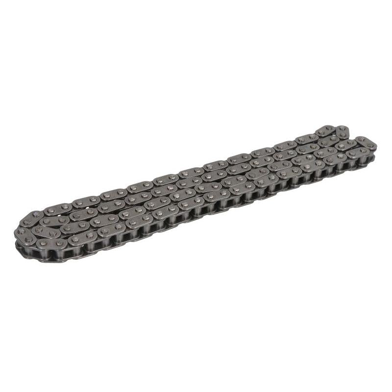INA 553030110 Timing Chain