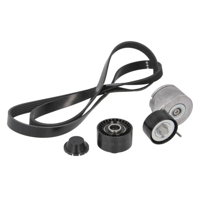 INA 529001210 V-Ribbed Belt Set
