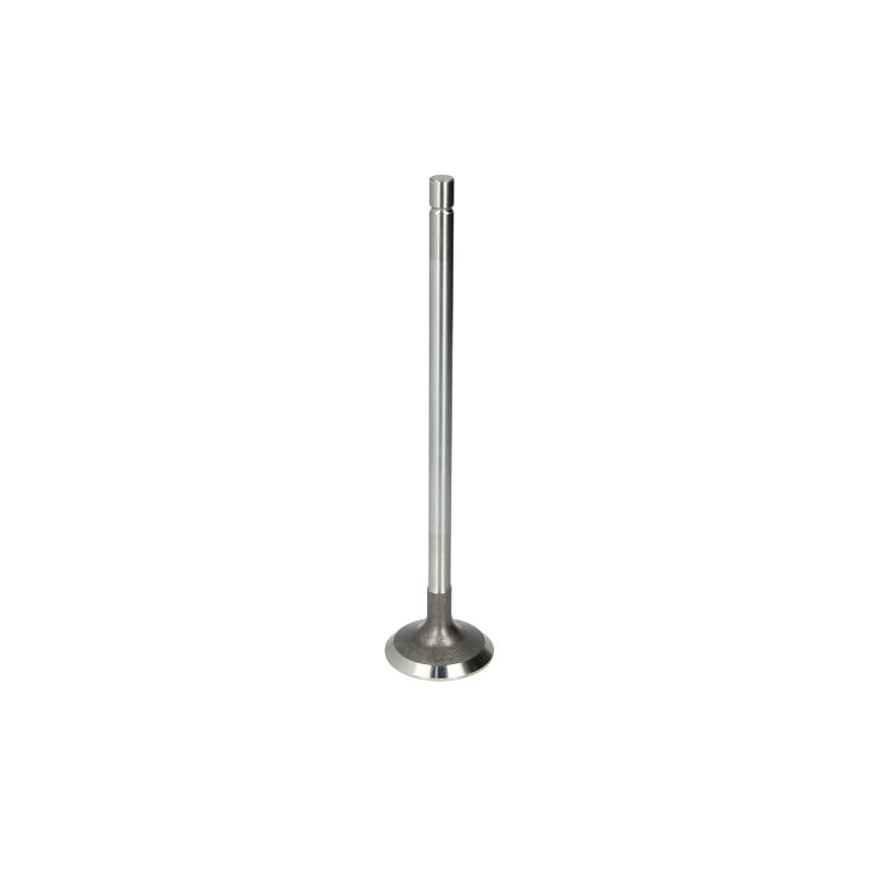 TRW 171108 Exhaust Valve