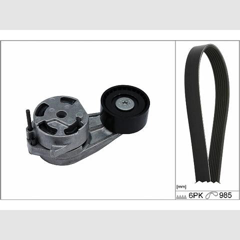 INA 529048210 V-Ribbed Belt Set