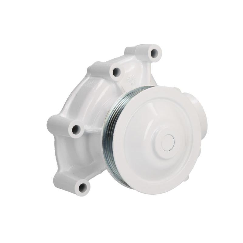 QUICKSILVER 898101424 Piston Rings