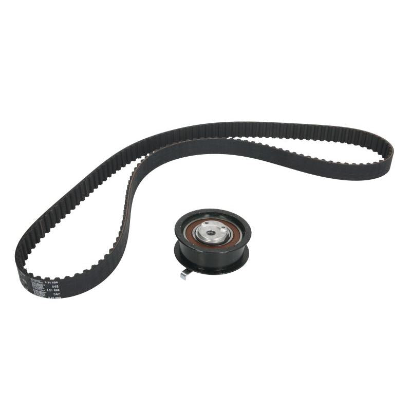 INA 530017410 Timing Belt Set