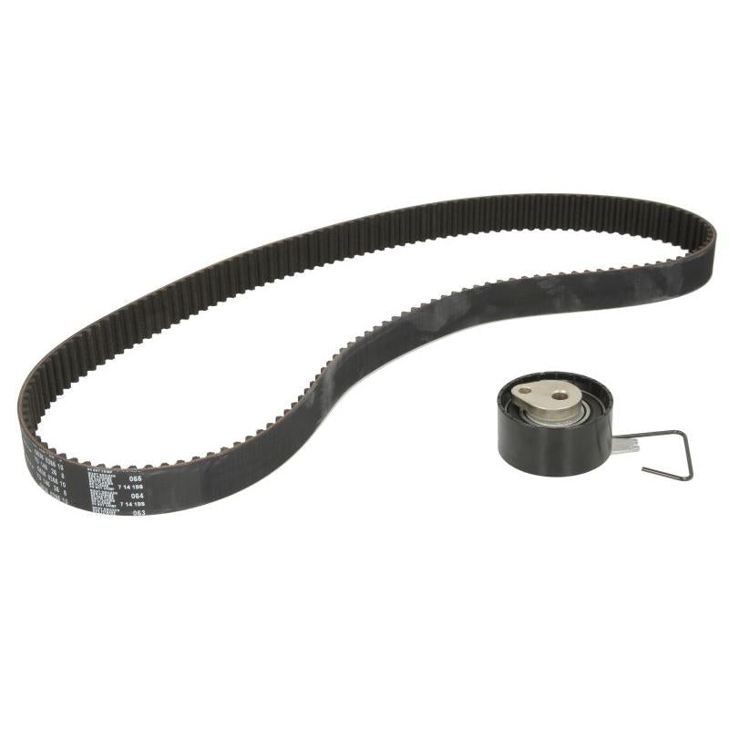 INA 530037610 Timing Belt Set