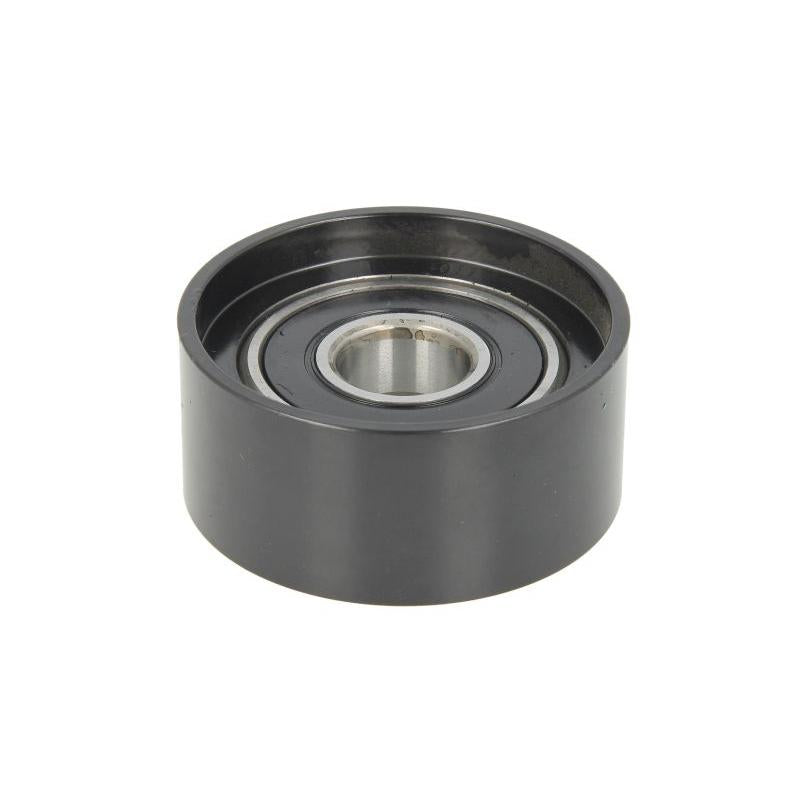 INA 532058810 V-Ribbed Belt Deflection/Guide Pulley