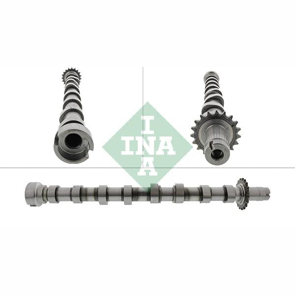 INA 428016810 Camshaft