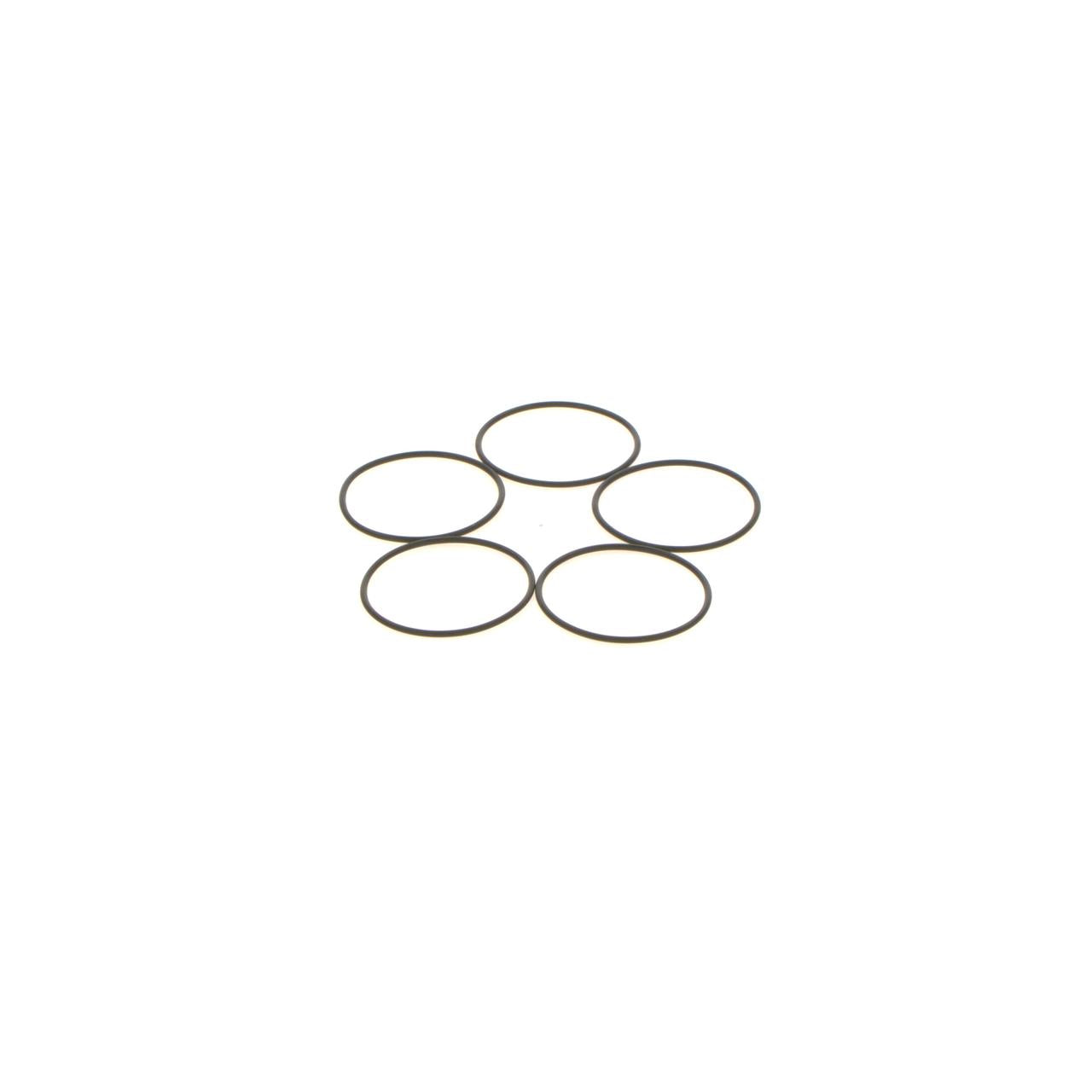 BOSCH 210-053 Seal Ring
