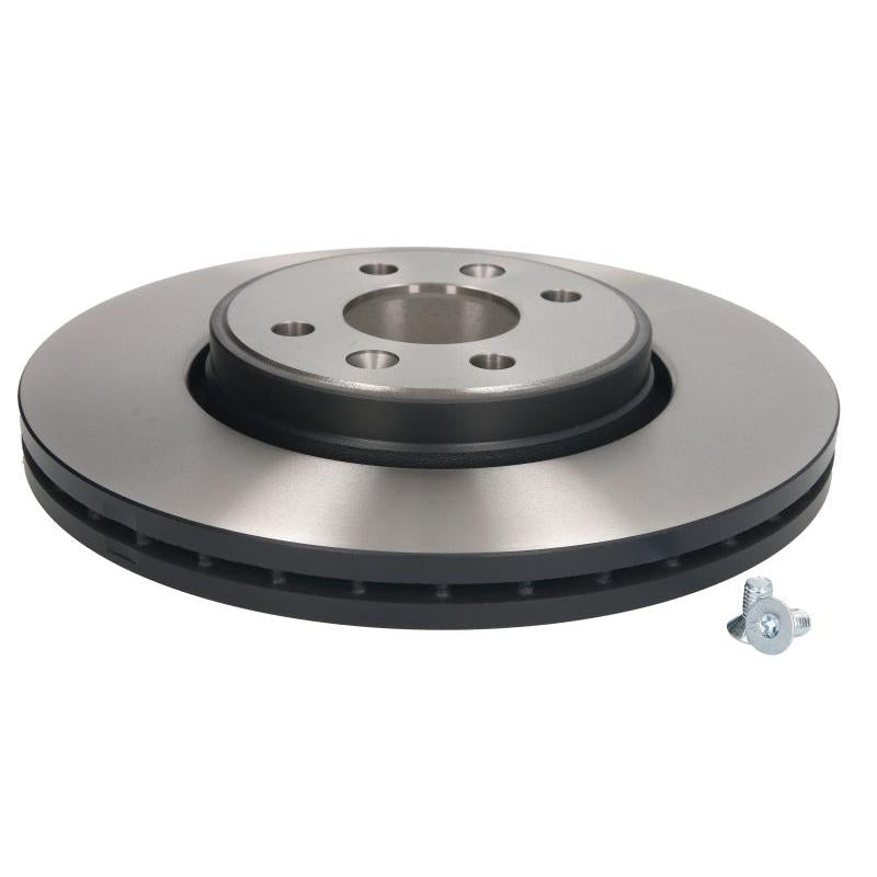TRW MOTO DF4110 Brake Disc