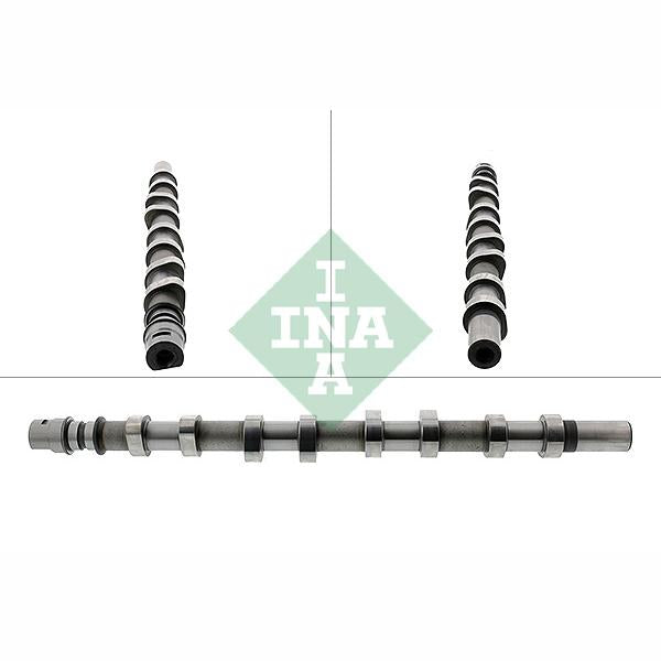 INA 428018510 Camshaft