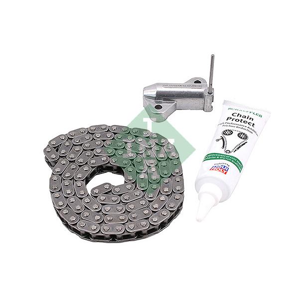 INA 558006010 Timing Chain Kit