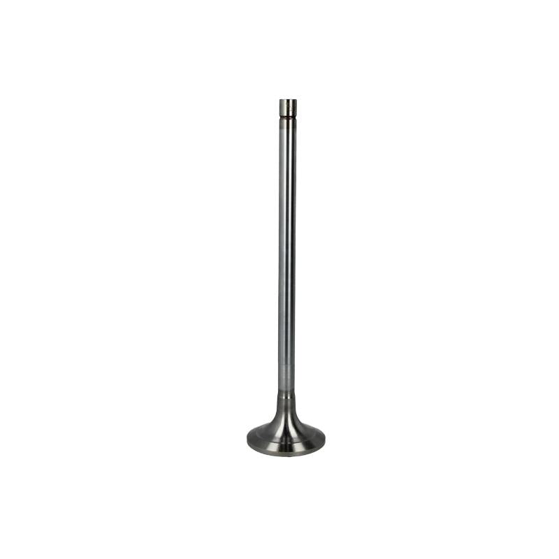 TRW 171111 Intake Valve