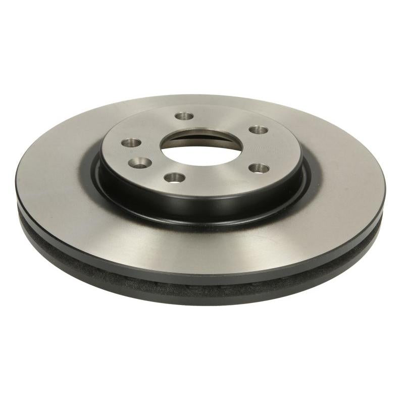 TRW MOTO DF6819 Brake Disc