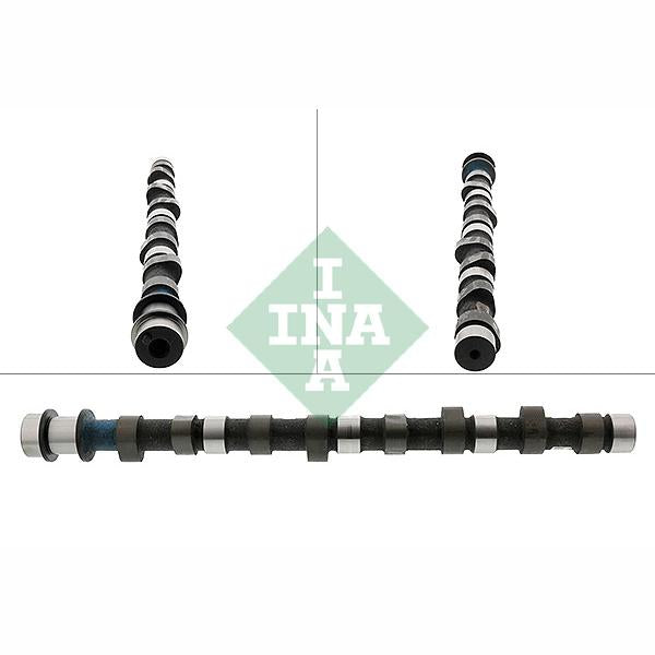 INA 428012910 Camshaft