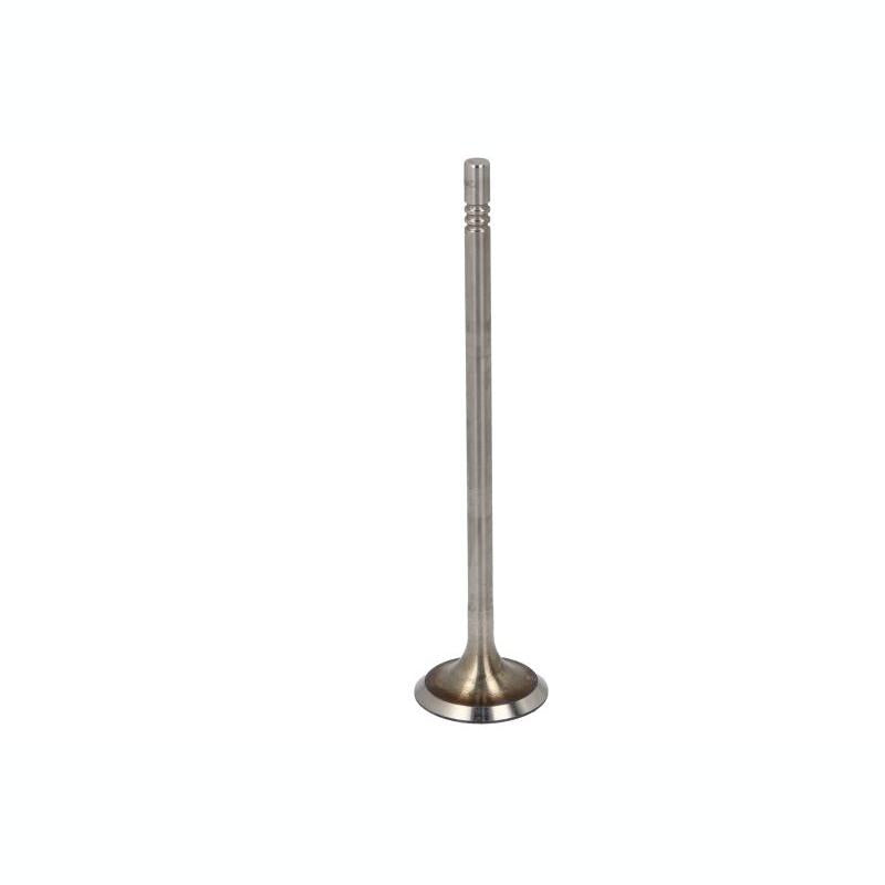 TRW 331156 Intake Valve