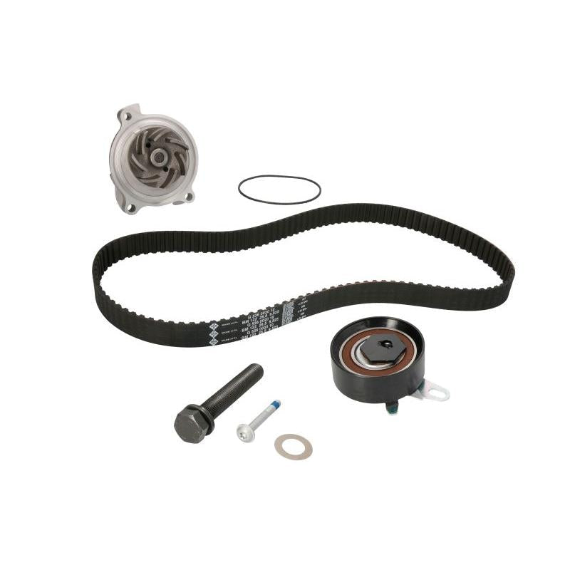 INA 530017230 Water Pump & Timing Belt Kit