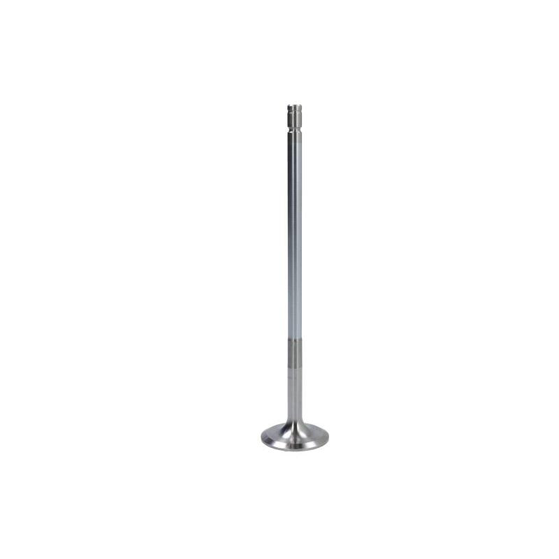 TRW 48225 Intake Valve
