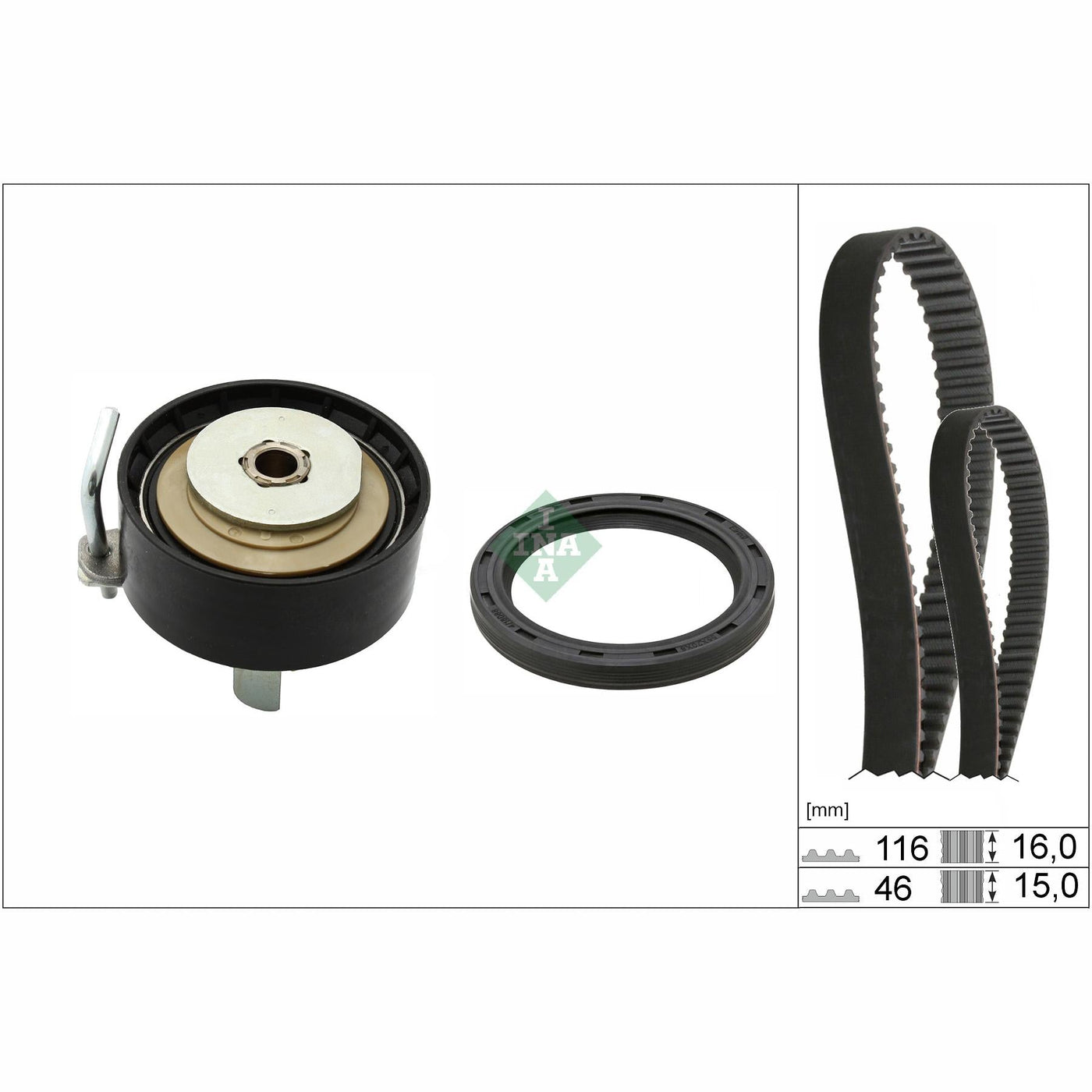 INA 530096010 Timing Belt Set