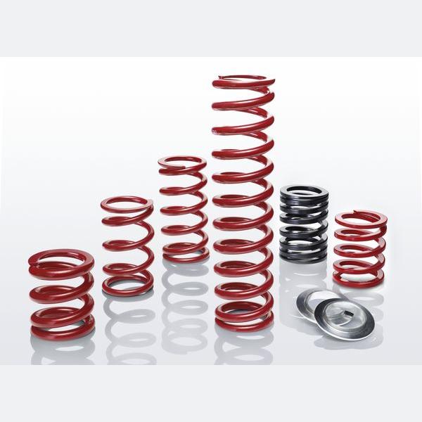 EIBACH ERSH3000600030 Lowering Spring