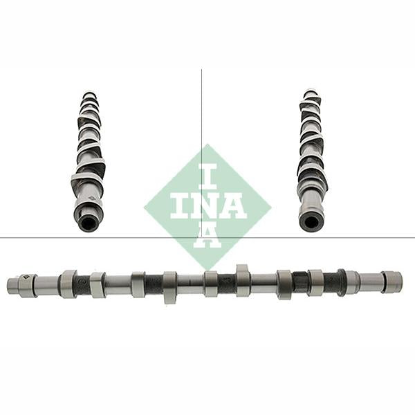 INA 428010910 Camshaft