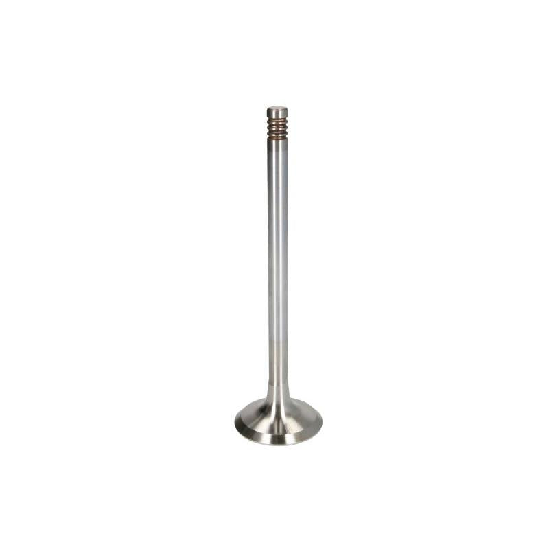 TRW 22155 Exhaust Valve