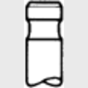TRW 171036 Intake Valve