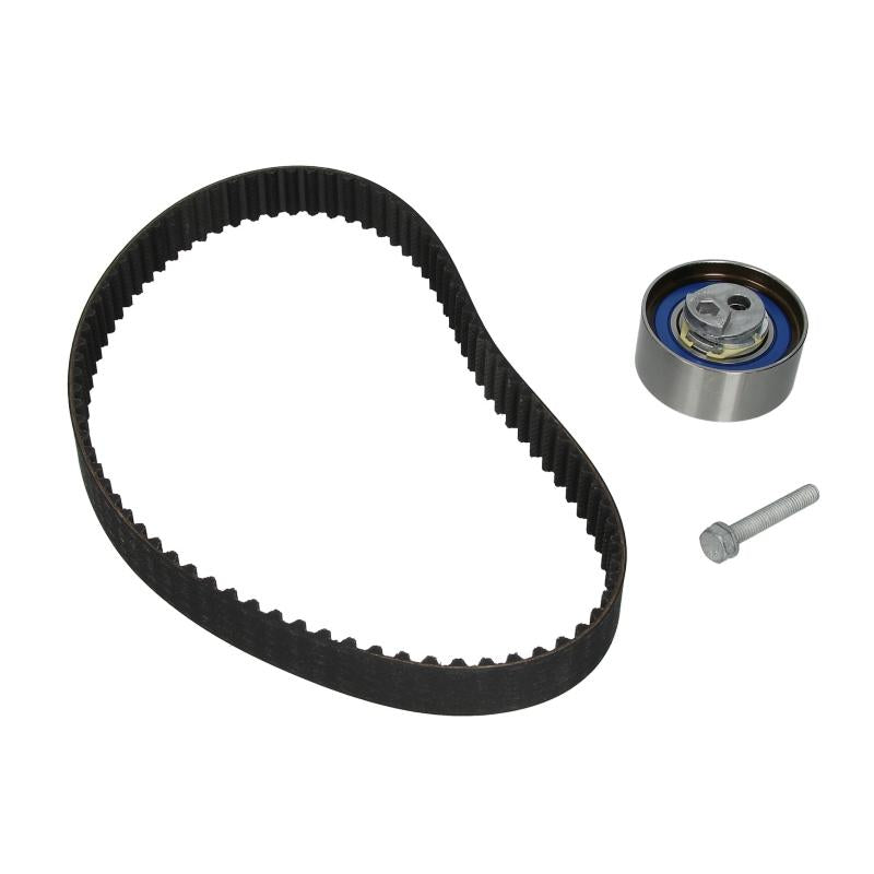 INA 530048110 Timing Belt Set