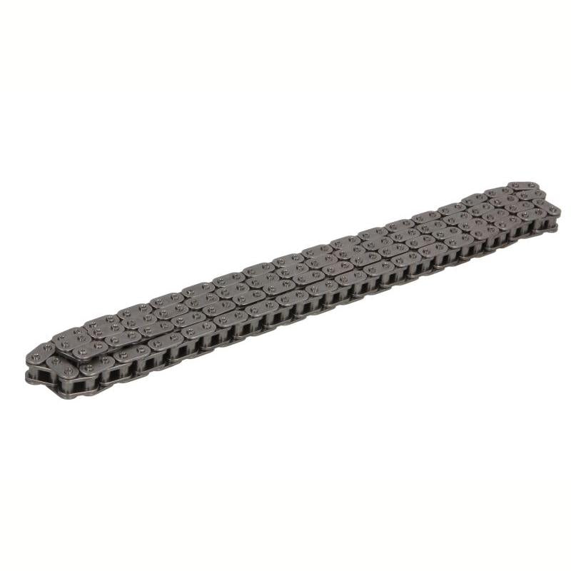 INA 553017010 Timing Chain