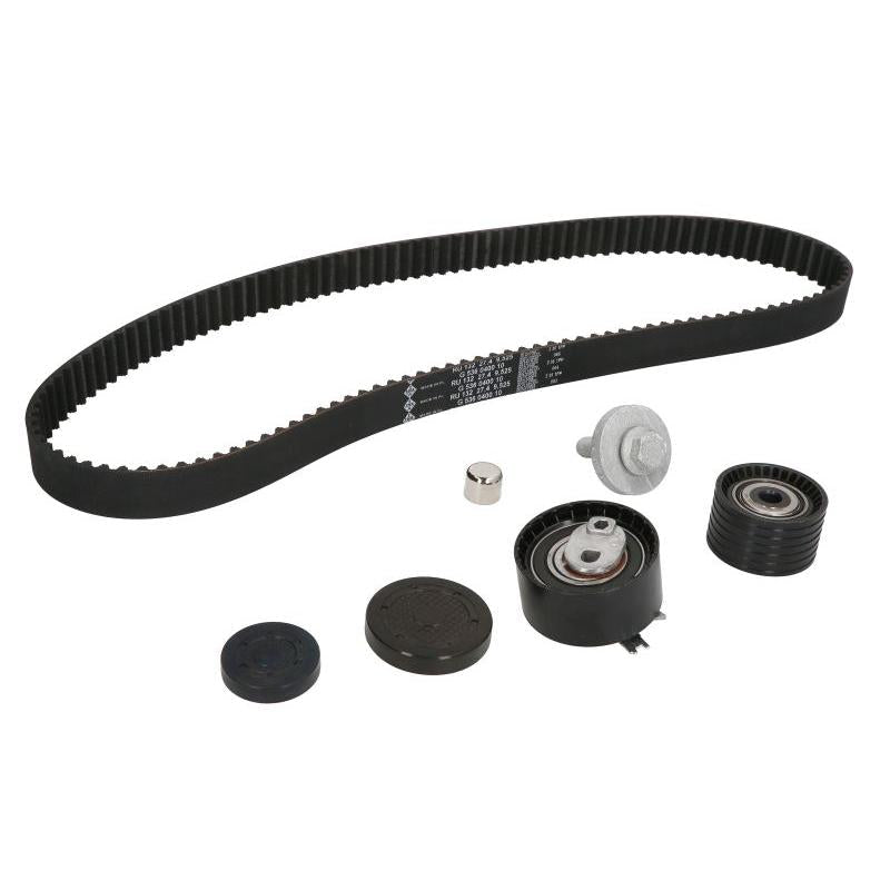 INA 530064010 Timing Belt Set