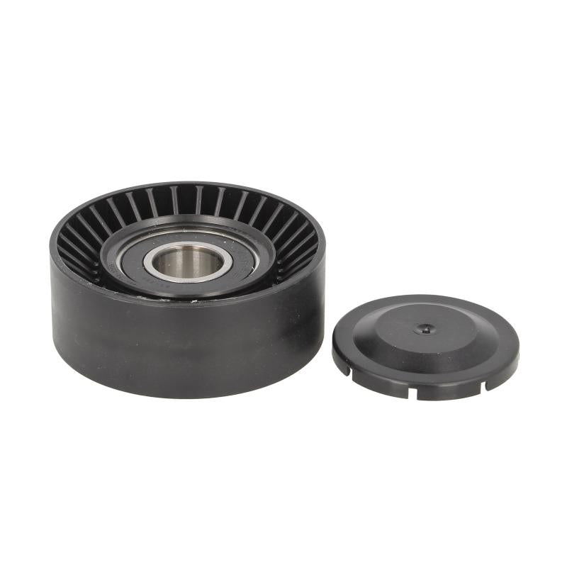 INA 531089110 V-Ribbed Belt Tensioner Pulley