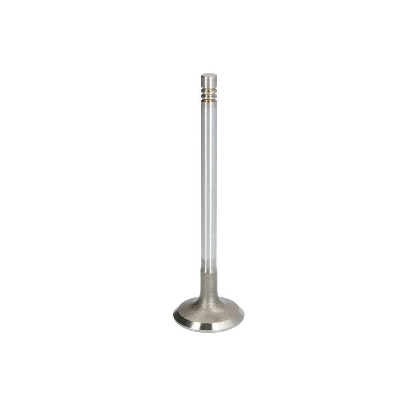 TRW 181123 Intake Valve