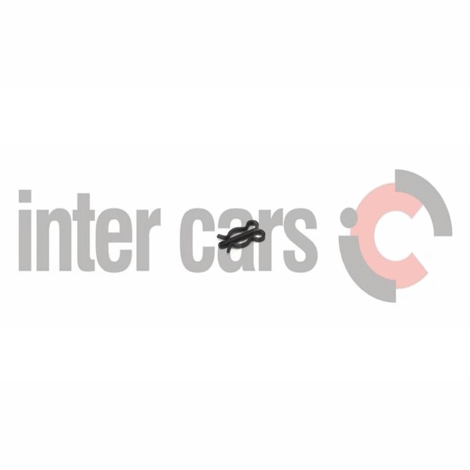 BOSCH 680-003 Fuel Pump Element