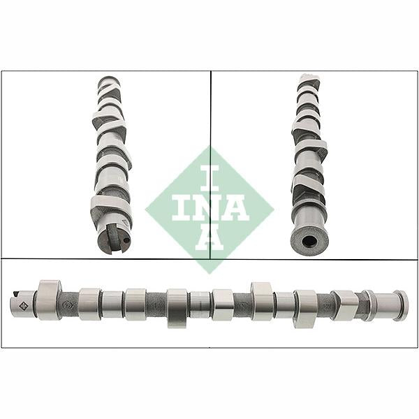 INA 428009410 Camshaft
