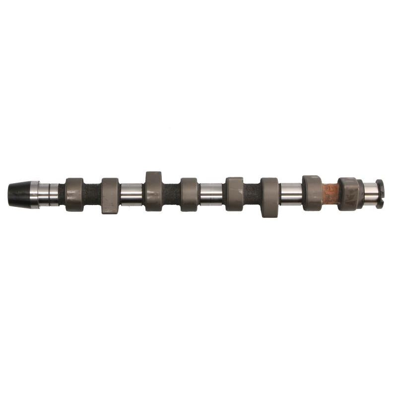 INA 428006310 Camshaft
