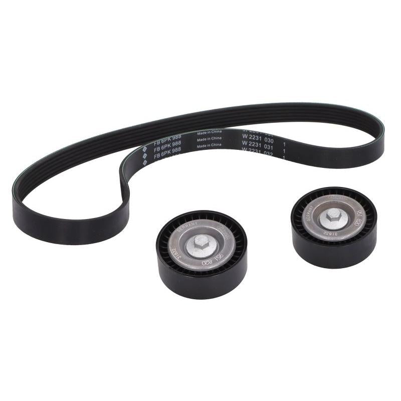 INA 529055810 V-Ribbed Belt Set
