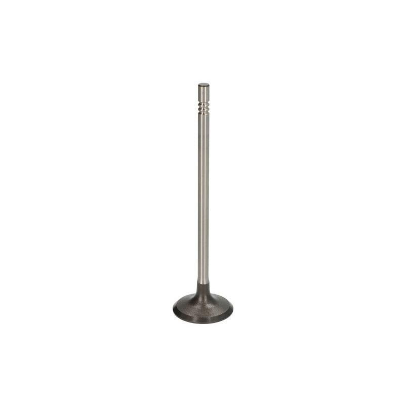 TRW 291133 Intake Valve