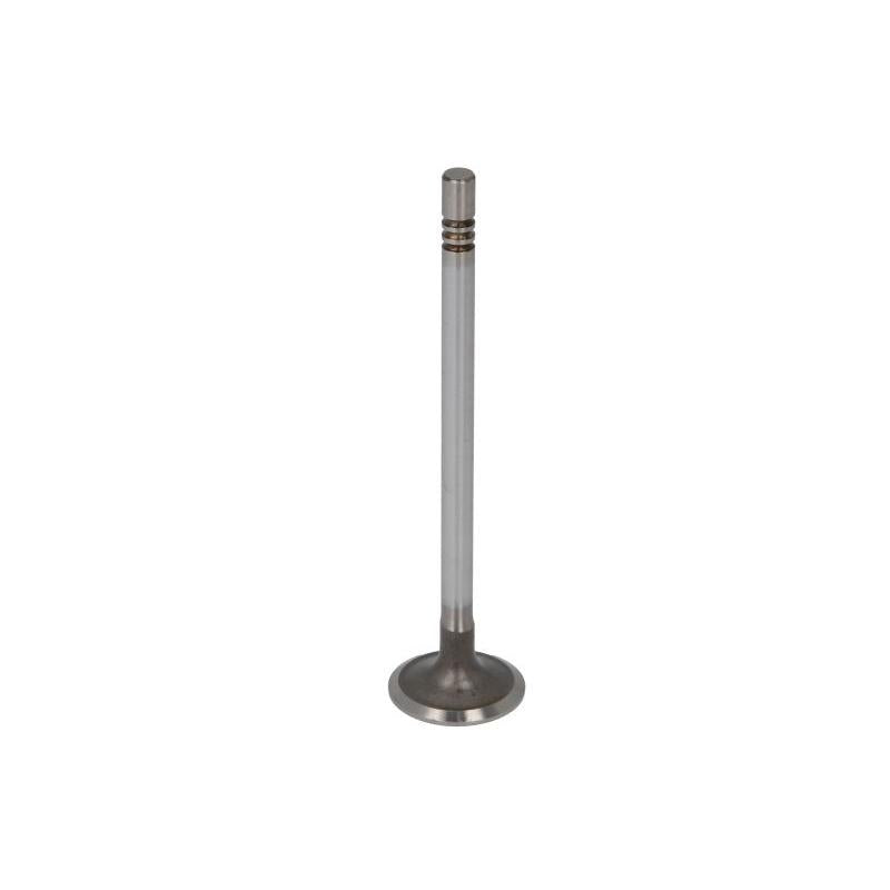 TRW 181018 Intake Valve