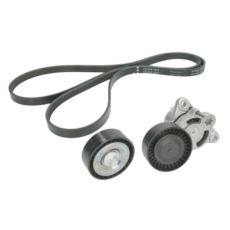 INA 529054510 V-Ribbed Belt Set