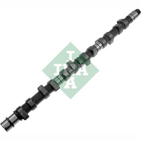 INA 428007210 Camshaft