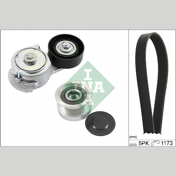 INA 529047820 V-Ribbed Belt Set